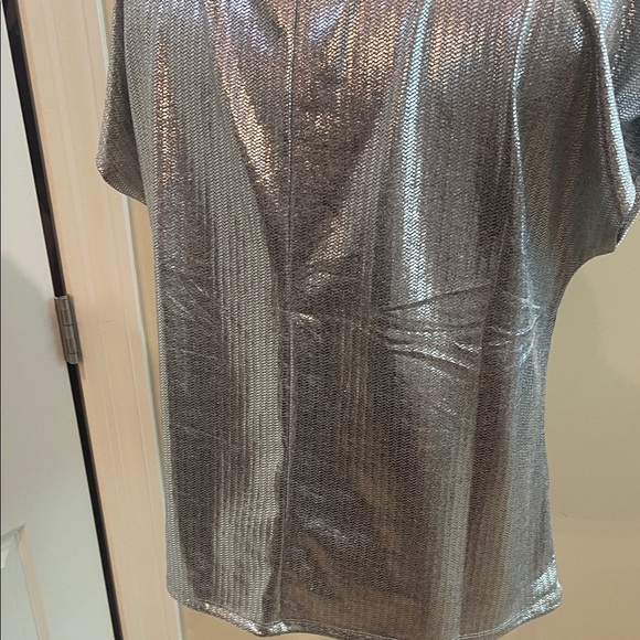 Shimmering Silver Short Sleeve Blouse 1X - Picture 5 of 9
